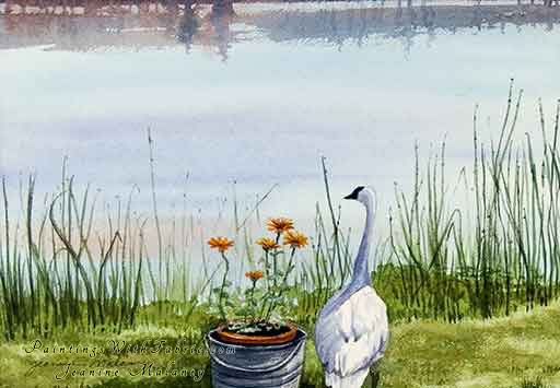  Marshas Swan