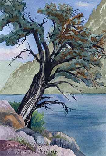 Whispering Spirits Serenade Me  Unframed Original  Watercolor Painting Fantasic old tree at Flaming Gorge Colorado