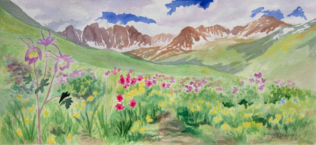American Basin in Wildflower Glory Unframed Original Watercolor Painting One of the many Colorado basins with wildflowers at high elevati