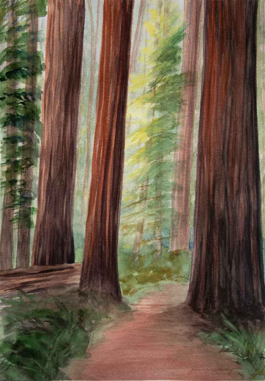 California Redwoods Unframed Original Watercolor Painting California Redwoods