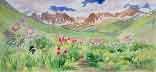 Gallery of Original Landscape Watercolor American Basin in Wildflower Glory