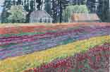 Gallery of Original Landscape Watercolor Tulip Fields